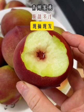 正宗的青州脆蜜桃,嘎嘣脆,超级脆甜!小孕妇小朋友都喜欢!桃味巨浓郁!现摘的贼新鲜!#新鲜应季水果 #优质农产品 #桃子