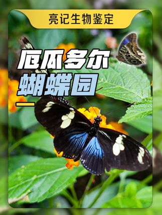 无穷小亮的科普日常