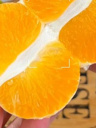 【酸甜爽口】正宗宜昌青皮蜜橘2/5/9斤现摘新鲜应季水果薄皮多汁 #正宗宜昌蜜橘 #果园直供 #新鲜采摘 #吃过的都说好 #橘子 初审:林轶楠,复审:王海英,终审:郑强