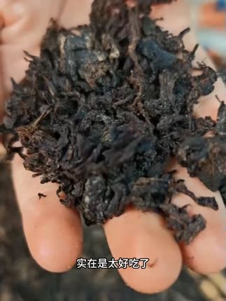 梅干菜还得是绍兴的才正宗! #梅干菜 #梅菜扣肉 #梅干菜烧饼 #优质农产品 #源头好物