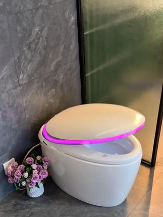 被马桶噪音吵得睡不好?换这款试试! 静音效果好,冲力还强劲。搭载全链路抗菌系统,洁净釉面搭配医用级喷头,水源经过净化,男女分用喷头更卫生。内置香薰和泡沫盾,功能实用操作简单,颜值高价格还美丽,太值了!, #智能马桶 #鸡蛋形马桶 #陶瓷马桶 #坐便器 #生产厂家批发
