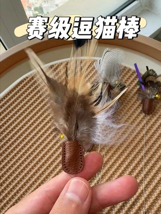 赛级逗猫棒,结实耐玩还不贵。 #新手养猫 #逗猫棒