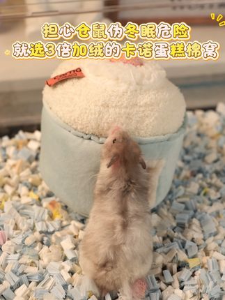 担心仓鼠伪冬眠危险!就选3倍加绒的卡诺蛋糕棉窝 #仓鼠金丝熊 #仓鼠保暖 #仓鼠棉窝 #仓鼠过冬 #卡诺