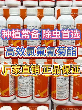 种植常备除虫首选 高效氯氟氰菊酯 厂家直销正品保证 #高效氯氟氰菊酯 #高效氯氟氰菊酯杀虫剂 #高效氯氟氰菊酯杀虫剂 #杀虫剂 #杀虫剂厂家