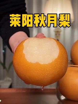 【邮政助农】正宗烟台莱阳秋月梨新鲜冰糖梨当季水果秋月梨现摘皮薄#秋月梨 #烟台莱阳梨 #新鲜水果 #冰糖梨 #当季水果