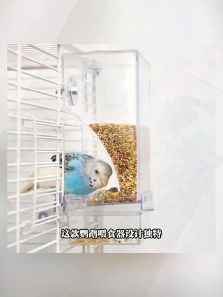 【大容量 防撒防溅】鹦鹉自动喂食器鸟用防撒谷壳分离食盒下料器KJ#鹦鹉喂食器 #大容量喂食器 #防撒食盒 #谷壳分离 #宠物用品