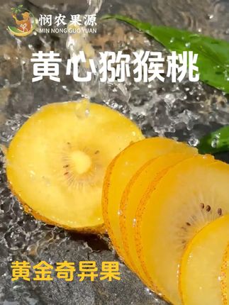 朋友们,不用千里迢迢从新西兰买啦! #奇异果 #黄心猕猴桃 #应季水果