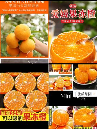 正宗四川爱媛果冻橙 家人们,心心念念的四川爱媛果冻橙终于来啦~皮薄无籽,入口香甜化渣,真的是巨巨巨好吃~#爱媛果冻橙38号 #果冻橙 #爱媛 #优质农产品原产地
