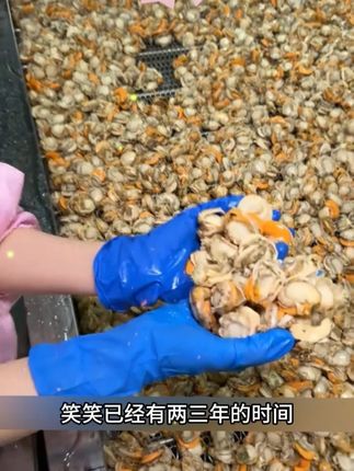 #扇贝肉 #海鲜原产地 #美食 k1