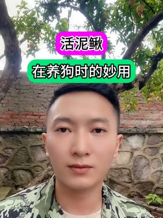 活泥鳅在养狗时的妙用 #养狗 #养狗经验分享 #新手养狗 #养狗小妙招 #养殖
