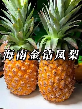 不用泡水直接就可以啃着吃的菠萝!特别的香甜,一口爆汁!凤梨味巨浓郁。它可不是菠萝,它是海南的金钻凤梨#海南金钻凤梨  #新鲜应季水果   #金钻凤梨  #水果  #现摘新鲜水果