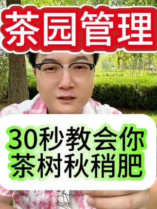 三十秒教会您茶树的秋稍肥怎么使用。