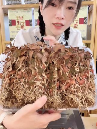 福建南靖正宗红霞金线莲干品50克 工厂直发#正宗红霞金线莲 #红霞金线莲 #干品 #好物 #好物分享 @DOU+小助手 @DOU+上热门