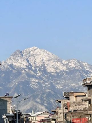 钛钢珐琅项链 仙人掌项链嘻哈男士潮牌锁骨链高级感小众男款链子