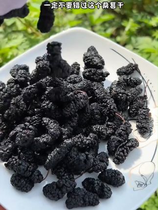 崔锦程新疆正宗原味免洗黑桑葚干大果250克/罐精选营养自然干净