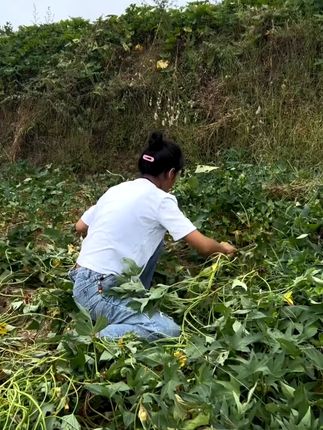 #记录我的农村生活 #洗发水 #在抖音入手的好东西 #无限回购的宝藏单品 #中老年宝藏单品