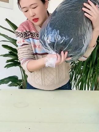 快快,8.9发半斤的裙带菜干,快来抢,15倍泡发率!可以煲汤,凉拌,炒菜做馅,口感脆嫩。我真的太爱吃了