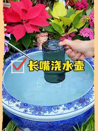 #长嘴浇水壶 喜欢在家养花,备上一个用来兑水施肥真的方便多了#在家养花#实物好用