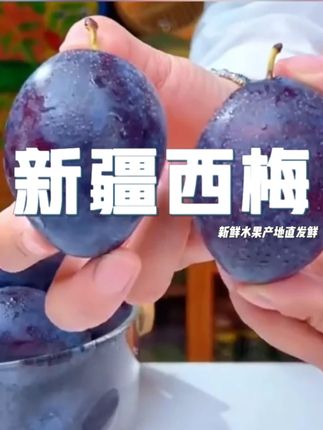 这个季节一定要试试新疆西梅,因为它是真的好吃又实惠 #新疆西梅 #新鲜应季水果 #水果 #当季水果推荐 #实惠分享官