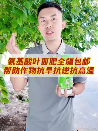 抗旱抗逆抗高温氨,基酸叶面肥全疆包邮! 氨基酸分子结构小,可以直接被作物吸收利用,效果表现快,吸收利用率高。能增强作物对干旱、高温、干热风、冻害、病虫害等不良环境的抵抗力。#农资肥料 #农业种植 #农药化肥 #果园管理 #新疆棉花
