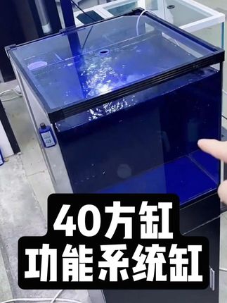 三道物理过滤+自动增氧+自动分离鱼便=40方缸功能系统缸 #40方缸 #40方缸造景 #背滤鱼缸