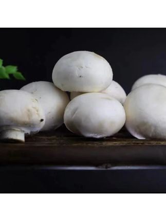 口蘑新鲜白蘑双孢菇火锅食材基地直发一整箱#口蘑新鲜白蘑 #美食推荐 #口蘑