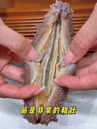 适合学生和上班族吃的海参来了 价格实惠 开袋即食 无需泡发 营养价值高 每天下午4点快来直播间看看吧 #即食海参 #营养 #海参 #养生 #价格实惠