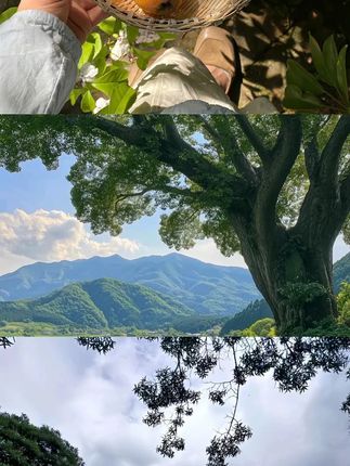 别看我这把三角刷子小,在我家可是非常出力又出活,家里各种犄角旮旯难清理的地方用它都好使#清洁刷 #缝隙刷#刷子