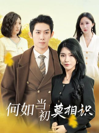 如何当初莫相识全集颜铭利陶思源-阿夹克斯