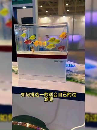 周转箱鱼缸过滤工业风龟缸净水过滤器滴流盒上滤水循环系统沼泽箱#好物推荐 #过滤器 #周转箱 #鱼缸过滤 #养鱼好物
