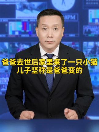 爸爸去世后家里来了一只小猫,儿子坚称是爸爸变的 #奇闻奇事 #社会民生