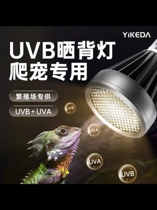 益科达全光谱乌龟晒背灯爬宠uvb灯泡蜥蜴黄缘龟缸uva加热灯罩灯架#乌龟 #养龟日常 #养龟设备 #爬宠日常 #乌龟晒背灯