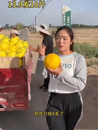 种在沙漠里的蜜瓜,产地现摘现发,好甜好好吃 #新鲜采摘 #农产品 #应季水果 #民勤蜜瓜 #新鲜水果