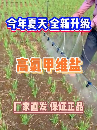 全新升级配方,高氯甲维盐,作物病害通杀 #病虫害防治 #杀虫剂 #杀虫剂配方 #高氯甲维盐