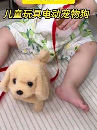 #萌宠日常记录 #狗狗 #萌娃
