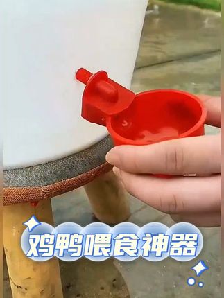养鸡用自动饮水器鸡鸭鹅饮水碗喝水碗鹌鹑家禽鸟小鸡喂食神器养殖