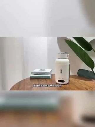 德国便携式烧水壶大容量不锈钢电热水壶智能恒温保温旅行炖煮水杯#烧水壶 #便携式水壶 #智能恒温 #德国水壶 #旅行用品