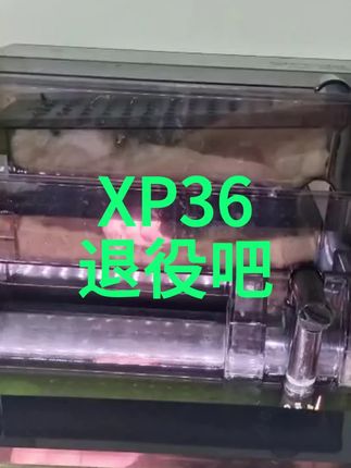 XP36,不改泵根本忍不了一点 嘉誉和酷鱼都能改,嘉誉无损@嘉誉AQUADREAM泵业制造 #XP36 #王羲没有之 #养鱼日记