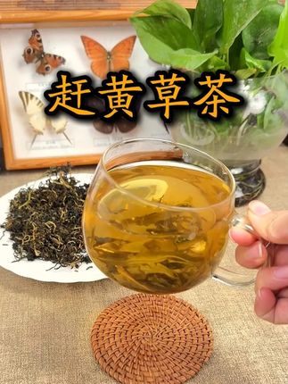 苗族朋友自古以来都在喝的这个茶,你知道可以干什么...#今天你喝茶了吗 #召唤茶友 #口粮茶推荐 #赶黄草茶
