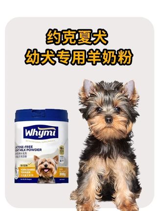 约克夏犬专用羊奶粉,每天来一碗,营养又解馋,还能帮助狗狗增加饮水量~#约克夏 #宠物羊奶粉 #萌宠好物 #宠物补充剂 #狗狗
