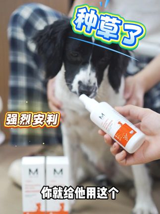 猫狗出门玩随身一定要带上这个防护喷雾 #科学养宠攻略 #狗 #宠物