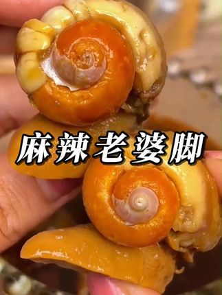 辣炒鲍螺麻辣老婆脚#太好吃了 #辣炒鲍鱼螺 #老婆脚 #美食 #海鲜美食