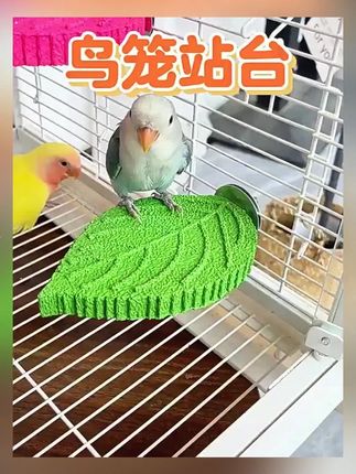 【磨喙磨爪 不易掉渣】鹦鹉树叶磨砂站杆玄凤站架鸟用树脂耐啃咬KJ#鹦鹉站杆 #磨喙磨爪 #耐啃咬 #鸟用站架 #宠物用品