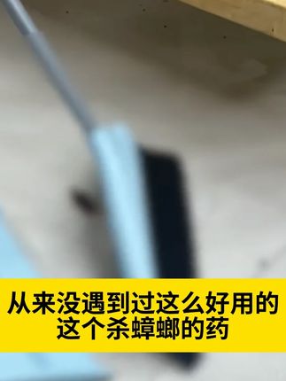 家里有蟑螂怎么办?刷到这个视频千万不要错过,家里有蟑螂,只需要在角落挤-挤#除蟑螂 #除虫小妙招 #蟑螂药