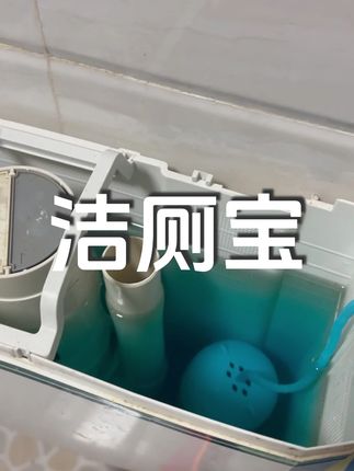 家里卫生间干干净净还老实有异味的,真的可以把它放进抽水箱。 #洁厕宝 #厕所香香