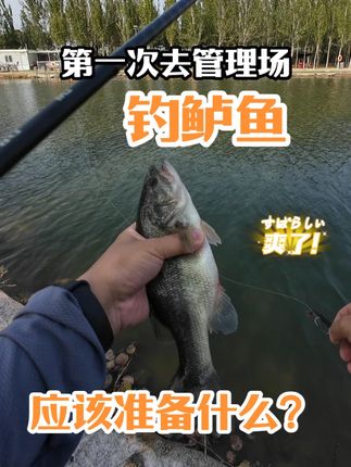 新手第一次去管理场钓鲈鱼,是什么体验? 应该准备什么? #水滴轮 #软饵 #铅头钩 #鲈钓 #微物路亚