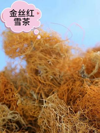 西藏高原雪域金丝红雪茶100g青藏高原特产 #西藏特产 #金丝红雪茶 #喝茶dou有仪式感 #秋天的第一杯茶
