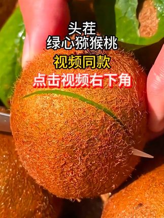 猕猴桃上市了,产地大丰收了,9.99给大家发两斤! #头茬猕猴桃 #绿心猕猴桃 #猕猴桃