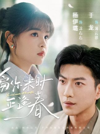 偏你来时正逢春全集于龙杨咩咩-阿夹克斯
