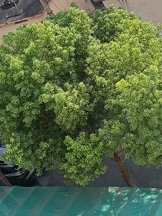 一帝四圣款K35双珠子弹头0.5黑色中性笔学生考试办公大容量速干 #开学礼物  #文具安利  #学生必备好物  #学生礼物 #黑色中性笔推荐